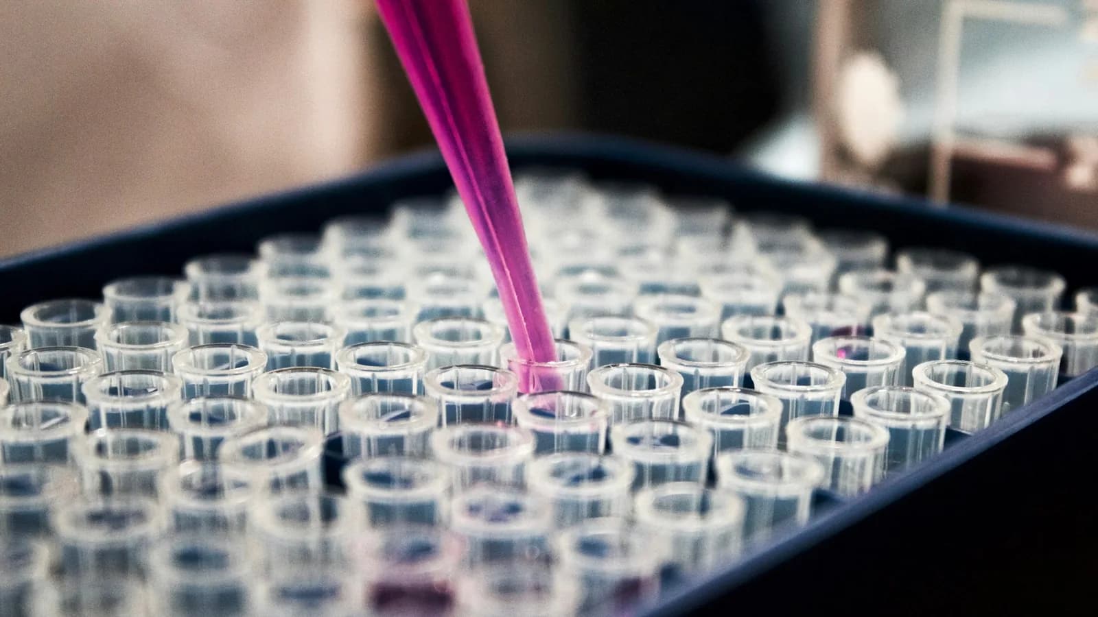 A scientist reviews molecular and clinical evidence on a large display in a modern lab
