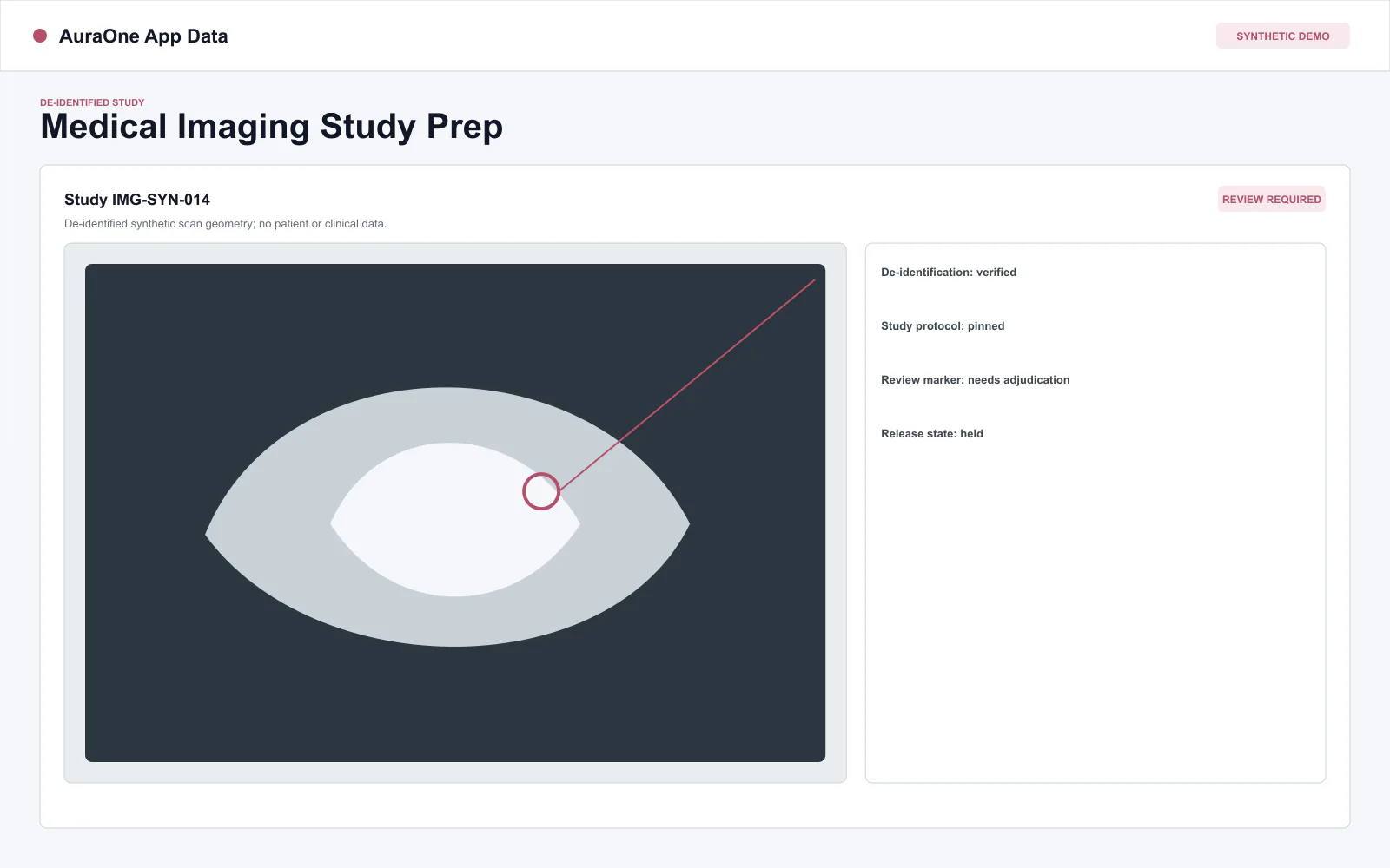 Synthetic medical imaging review record with study context, findings, and approval state.